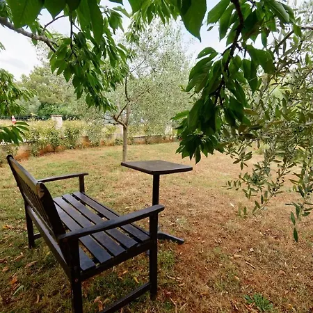 Chip Guest house